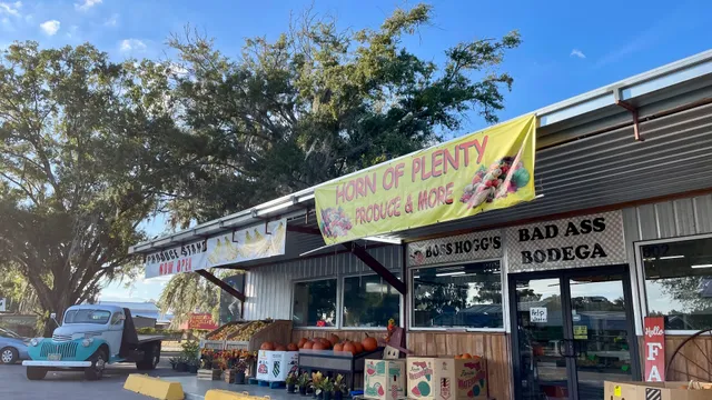 Horn of Plenty Produce & More