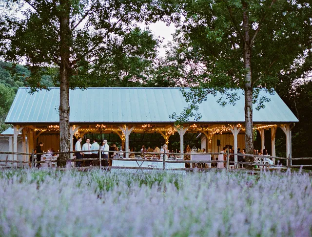 Orchard View Lavender Farm
