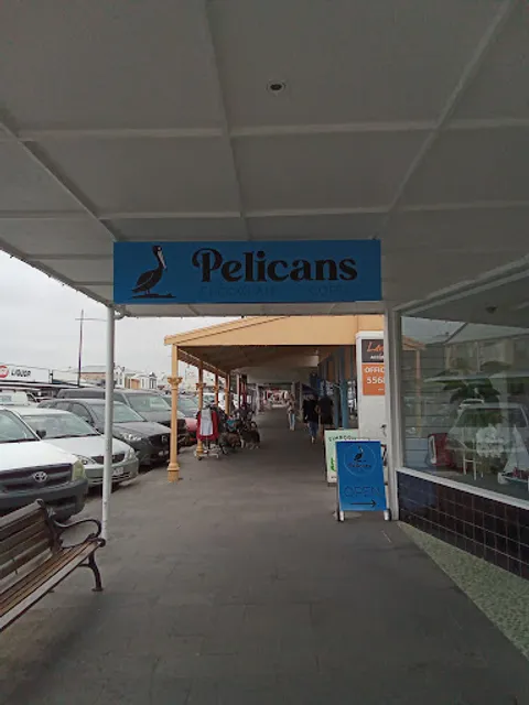 Pelicans Port fairy