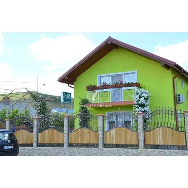 House Nelu Pescaru '