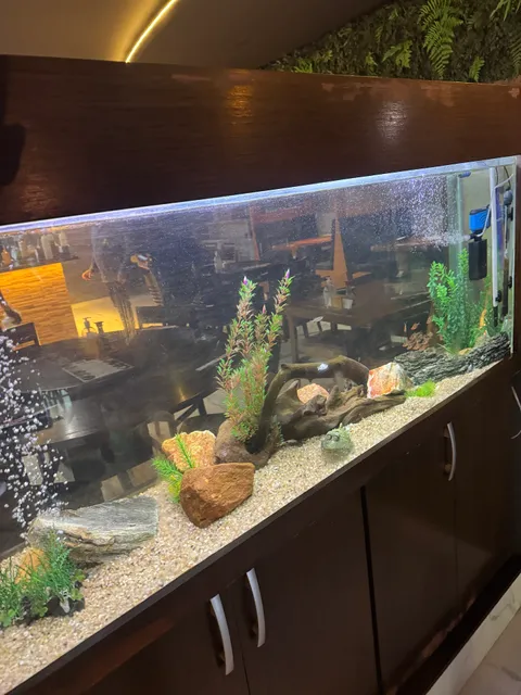 Akari Sushi Bragança