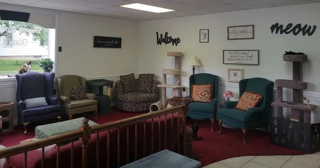 Forever Love Rescue at the Kitty Corner