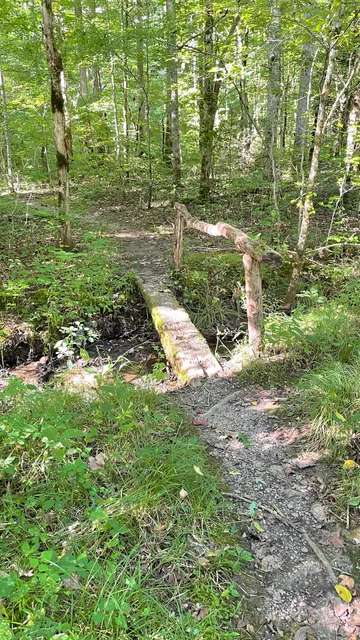 Big White Oak Quiet Walkway Trailhead