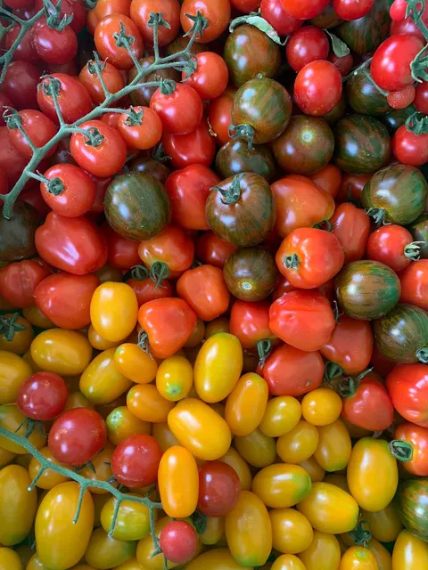 Azienda agricola Bongiovanna