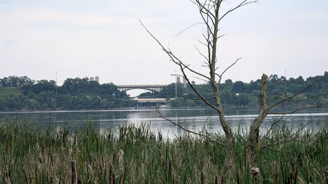 Hickory Valley Lookout