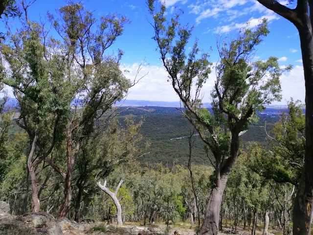 Canberra Tracks - Black Mountain Summit