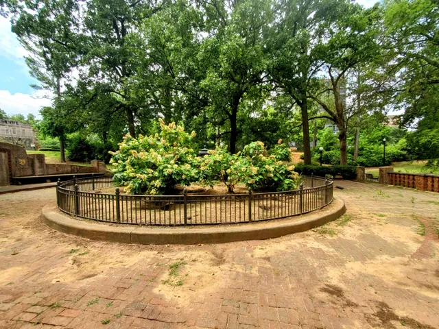 Rufus Rhodes Park