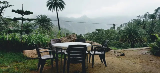 "Aarna Wild" The Campsite