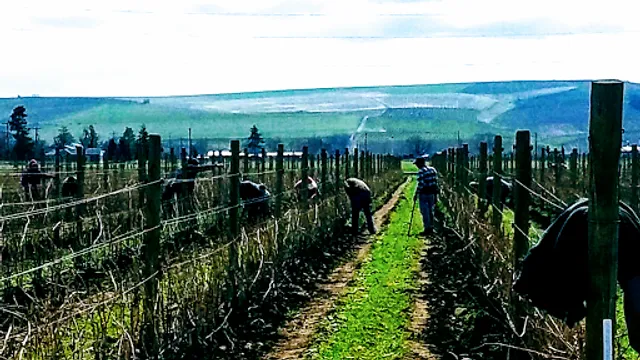 Rôtie Cellars - Seattle Tasting Room