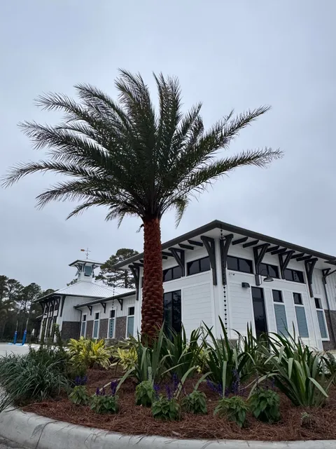 Beaches Dermatology, PA