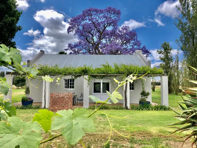 Saronsberg Vineyard Cottages