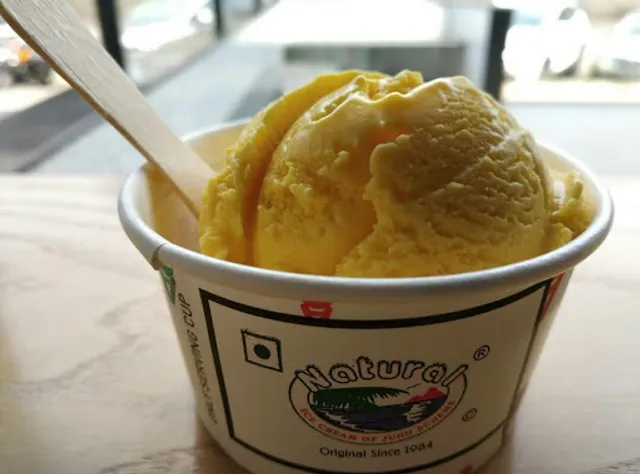 Naturals Ice Cream