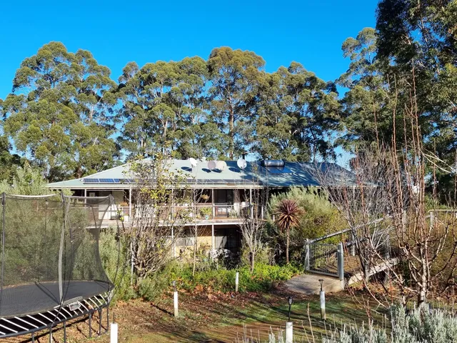 Blue Moon Forest Lodge