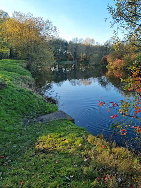 Packington somers fishery