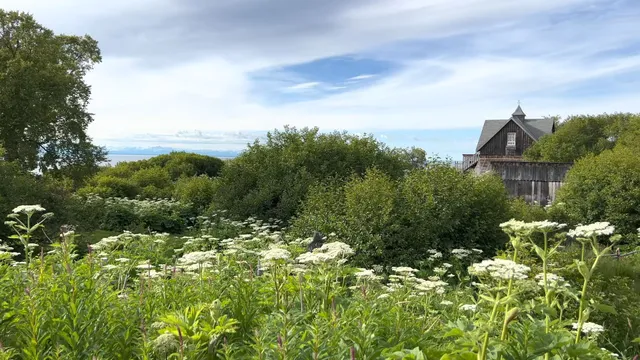 Ninilchik View Campground