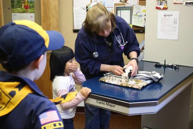 Adorable Pets Veterinary Center