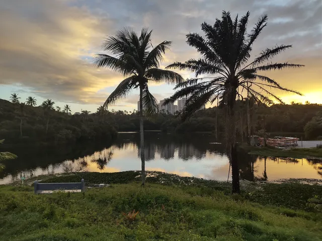 Parque Metropolitano de Pituacu