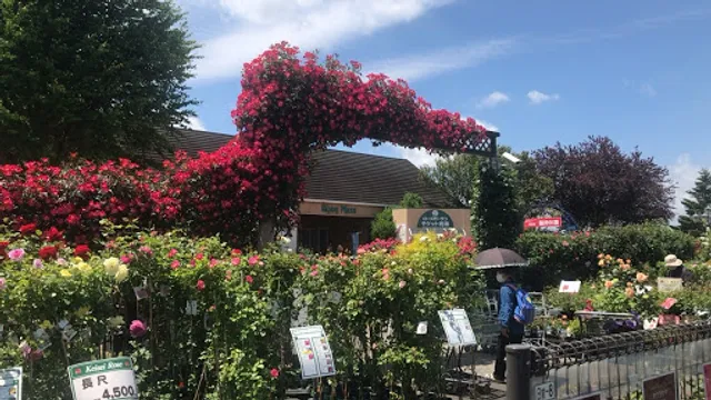 Keisei Rose Garden Garden Center