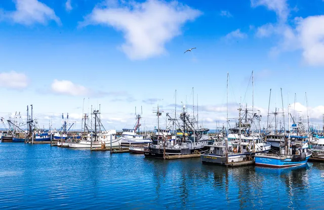 Westport Marina Charter Boat Basin