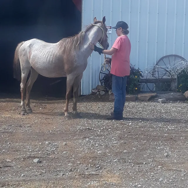 George Baker Stables