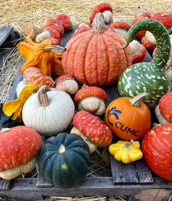 Pumpkin Patch on the Corner - Christ United Methodist Church