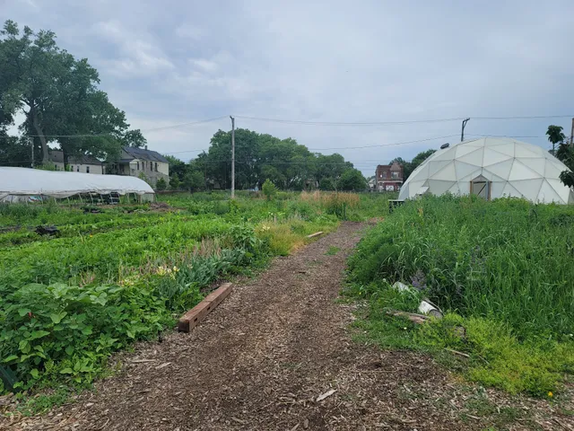 South Chicago Farm, Urban Growers Collective