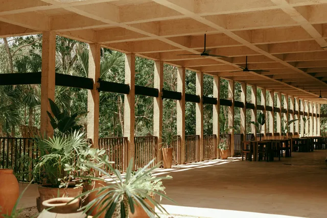 FLORA by Boca de Agua