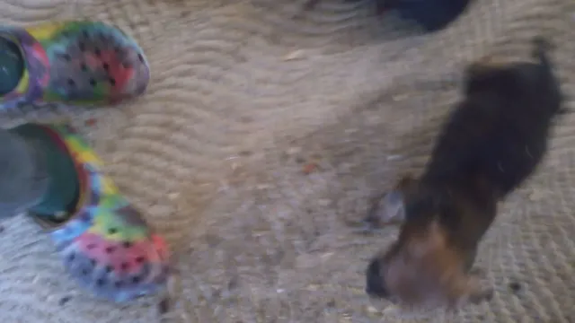 Mc Cutcheon-Love Furniture Co