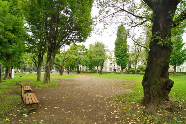 Setagayakuritsusoshigayajutakuchuokita Park