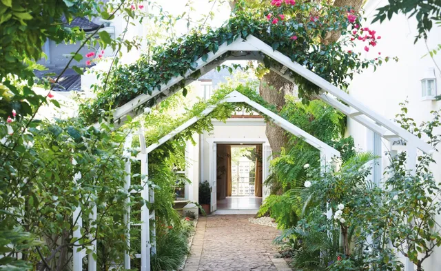 Last Word Franschhoek