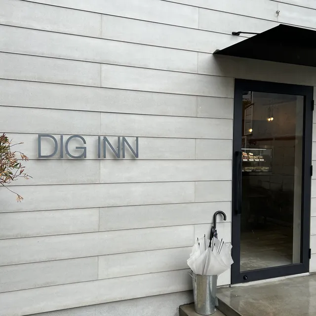 DIG INN