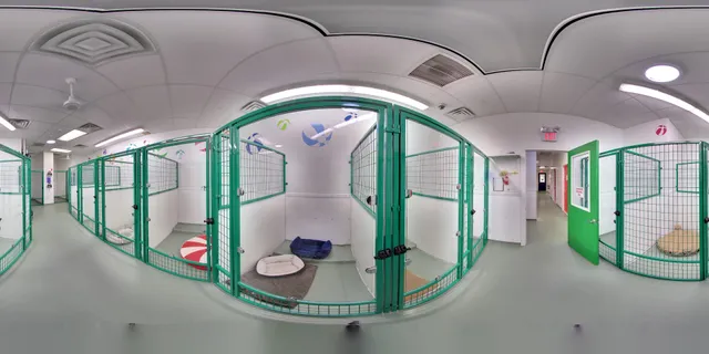 Paws & Play Pet Resort and Training Center