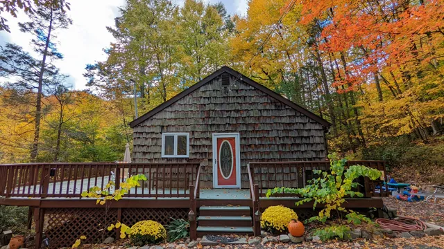 Catskills Experience