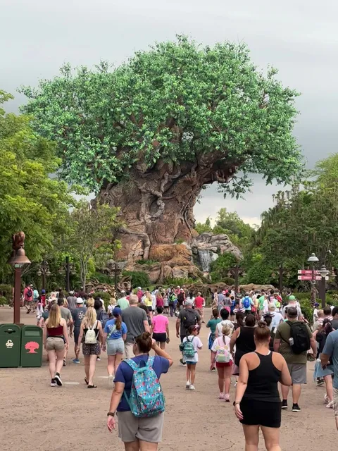 Wilderness Explorers