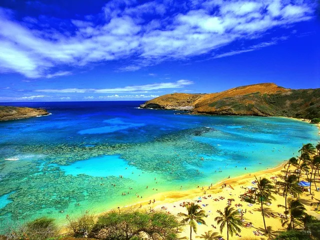 Hanauma Bay Tours