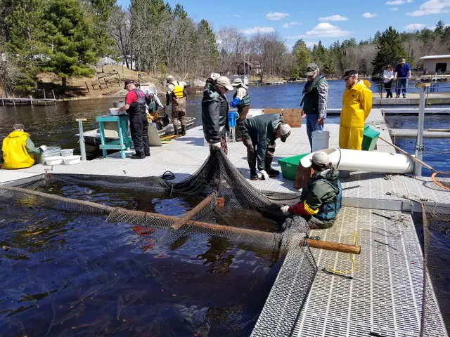 Pike River Hatchery