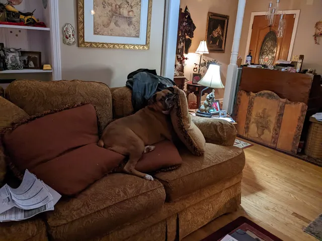 JUST FOR YOU FLORALS