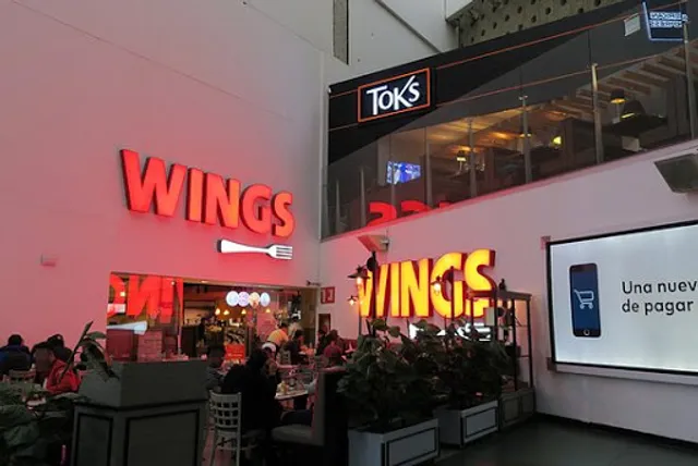 Wings T1
