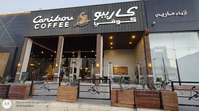 كاريبو كوفي - Caribou Coffee