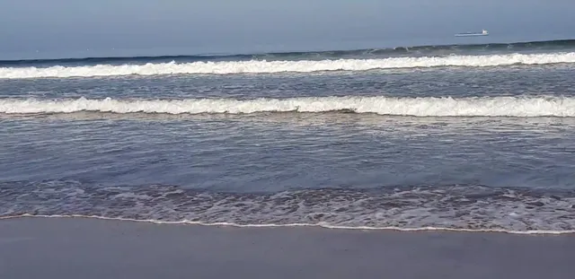 Diego De Almagro Arica