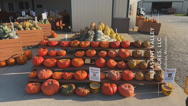 Pleasant Valley Acres, LLC