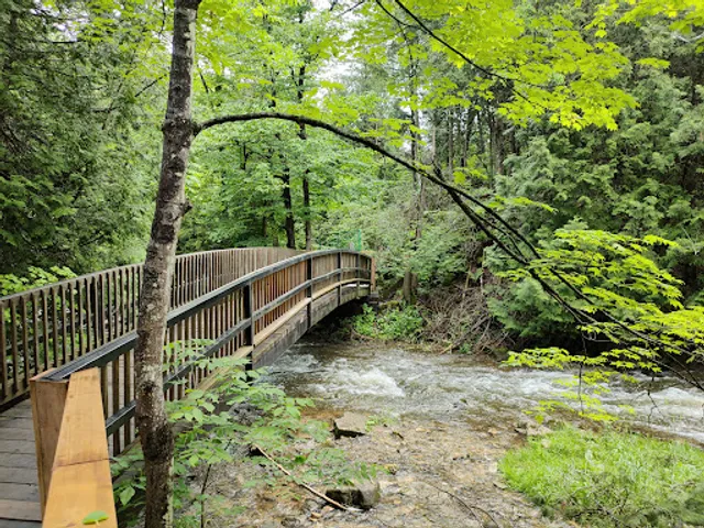 Belfountain Suspension Bridge
