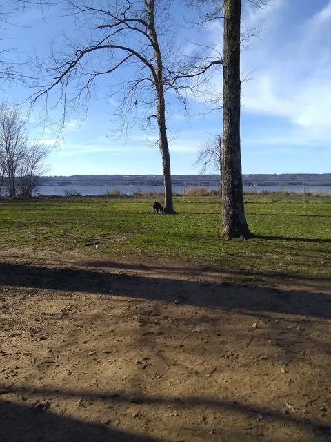 Guntersville Dog Park