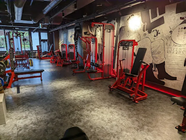 ONE PIECE FITNESS BragMen