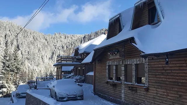Villa Popara Kopaonik