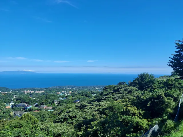 Izu Cactus Park Rhesus Macaque No.1 Parking Lot