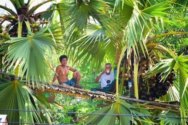 Phoum Sach Ang ភូមិសាច់អាំង - Takeo