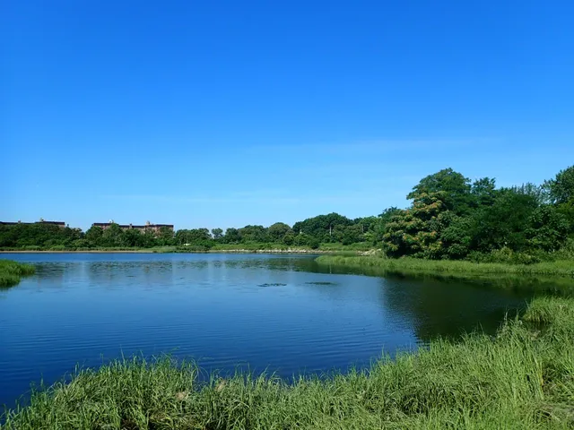 Marine Park Salt Marsh Nature Trail