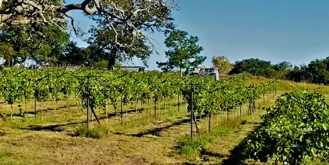 Darst Ranch Vineyards, LLC