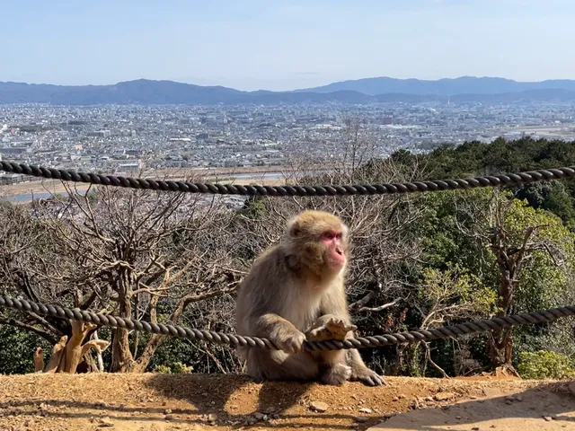 Iwatayama Summit Rest Area